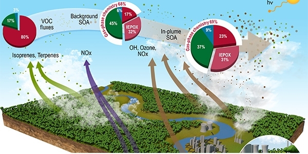 Pollution from Manaus results in up to 400% higher aerosol formation due to the Amazon Rainforest