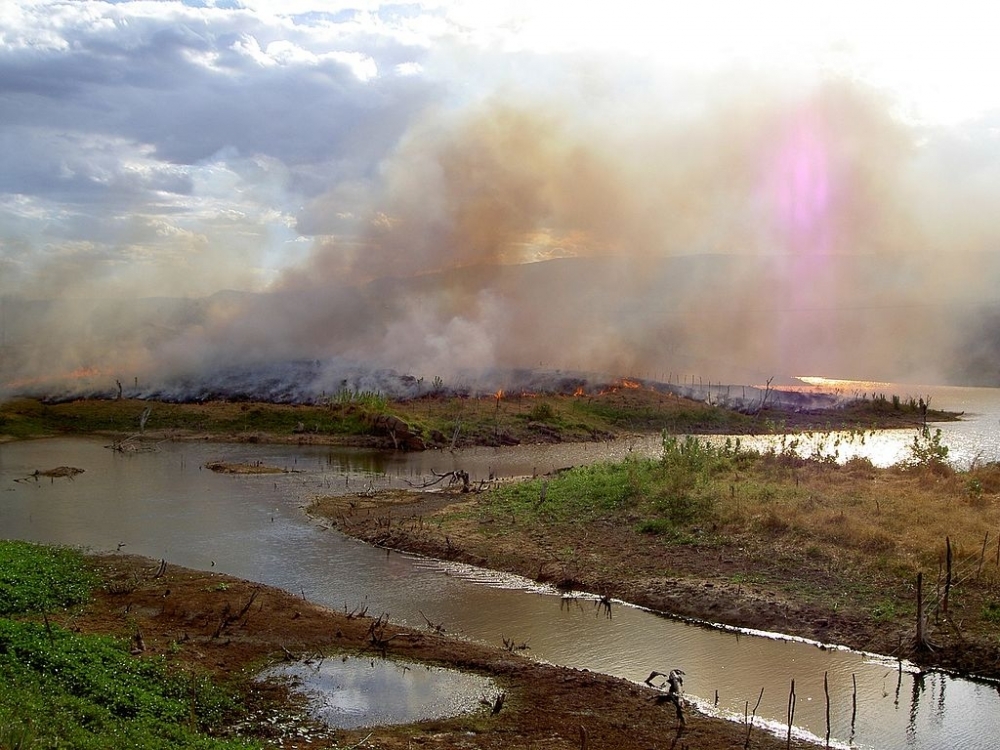 Black carbon found in the Amazon River reveals recent forest burnings