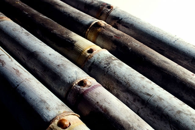 Most complete commercial sugarcane genome sequence has been assembled