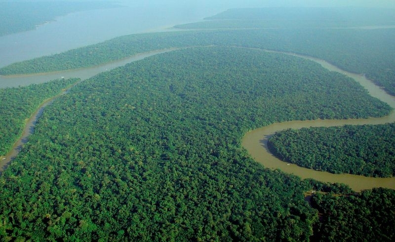 Science-based public policies are important to tackle an Amazon in transition