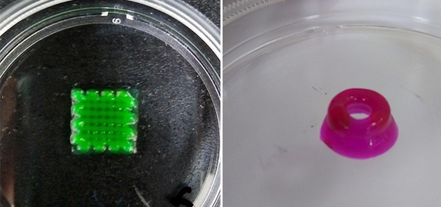 Researchers develop bioink for the 3D printing of nerve tissue