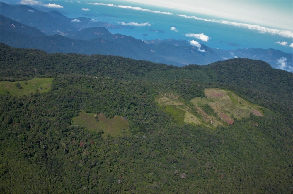 Destruction of an Atlantic Rainforest fragment raises the local temperature