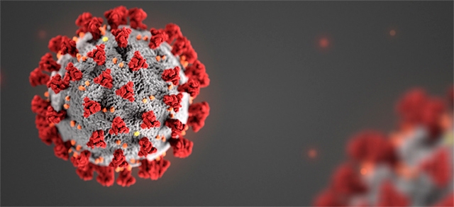 Tecnologia que sequenciou coronavírus em 48 horas permitirá monitorar epidemia em tempo real