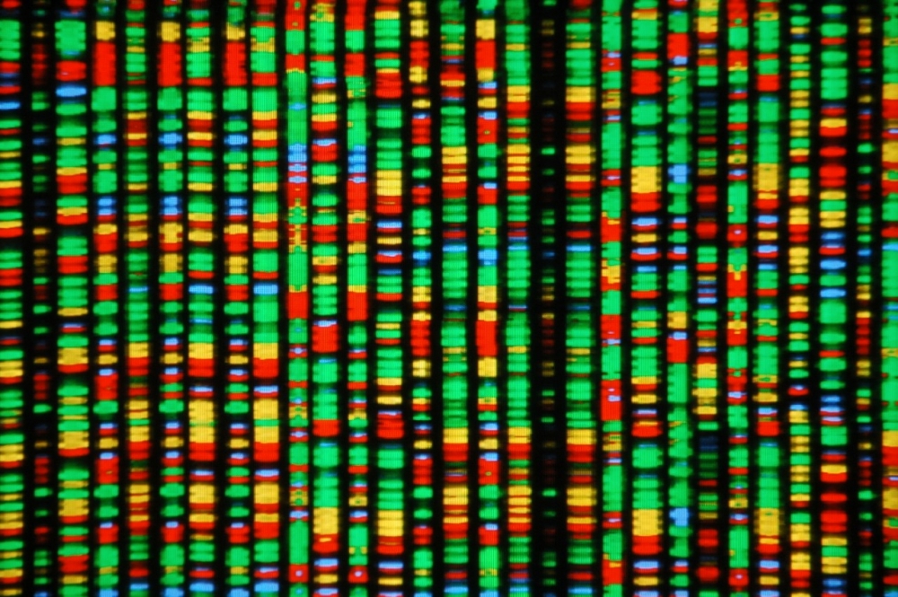 Centro de Estudos sobre o Genoma Humano adquire sequenciador genético de última geração