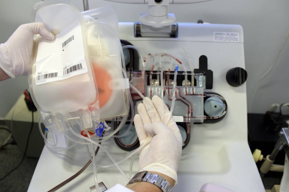 Pesquisadores testam tratamento com anticorpos de pacientes curados de COVID-19