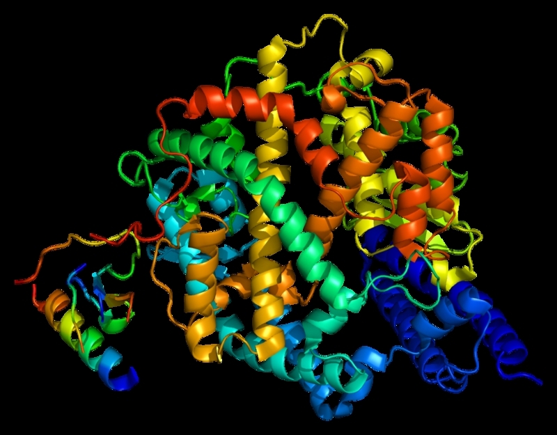 Patients with chronic diseases display increased expression of gene that facilitates SARS-CoV-2 infection