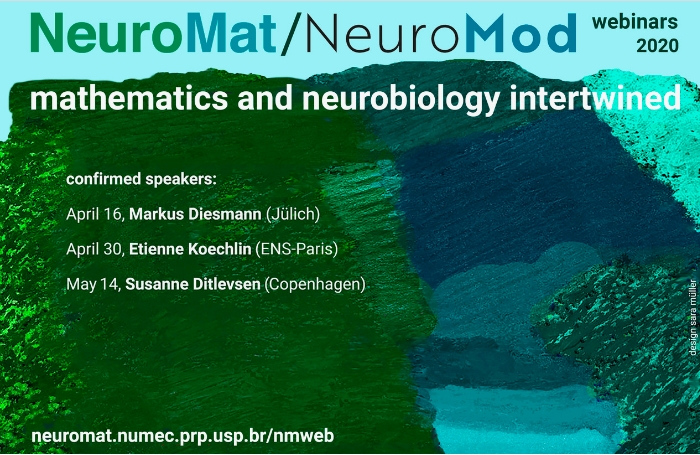 Centro de pesquisa em Neuromatemática realiza seis seminários on-line sobre matemática e neurobiologia