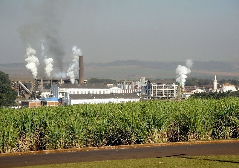 FAPESP and São Martinho set a center aimed at developing biological control technology for sugarcane