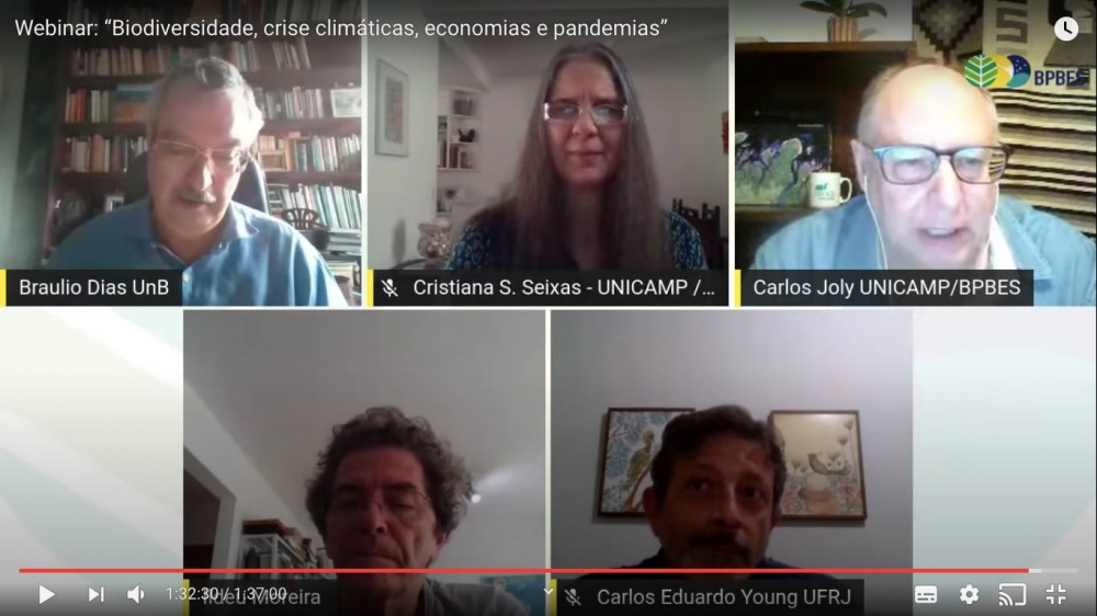 Pesquisadores defendem economia ambientalista para superar a crise causada pela COVID-19