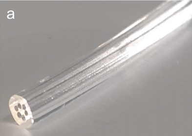 Brazilian researchers develop an optical fiber made of gel derived from marine algae