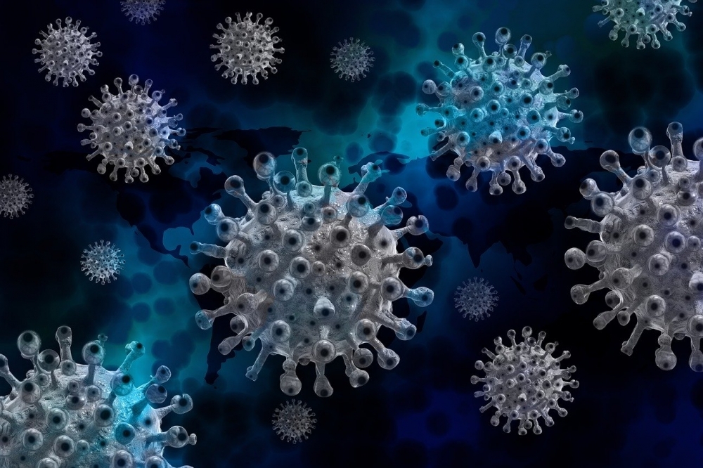 Herd immunity to novel coronavirus can be reached when up 20% are infected, study suggests