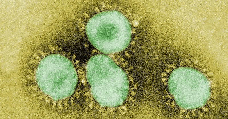 Imunidade induzida por outros coronavírus pode não proteger idosos da COVID-19