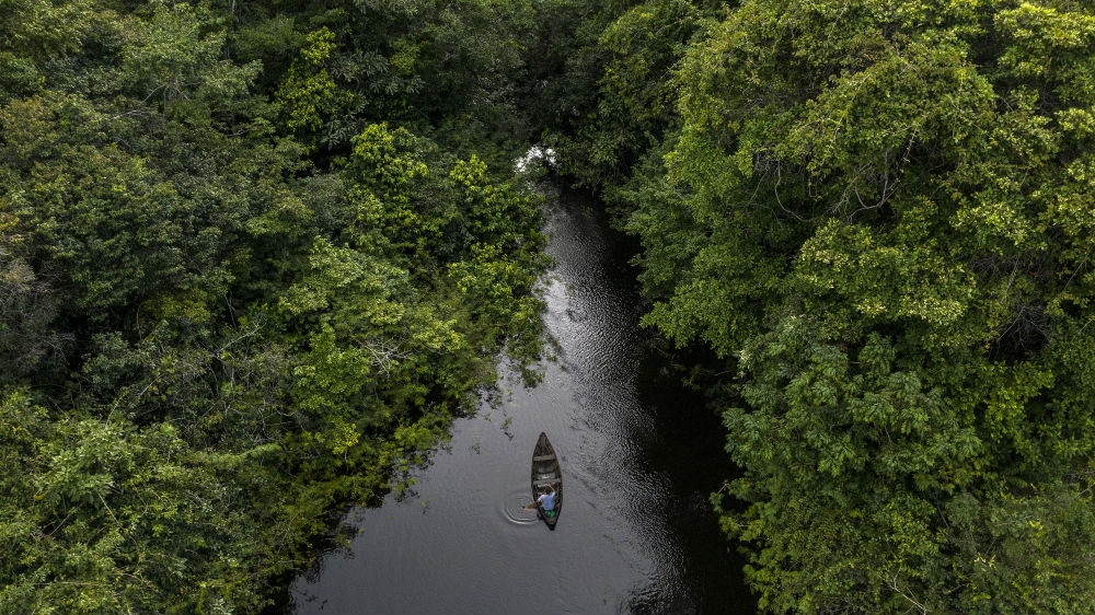 Conservation planning in Amazon should prioritize aquatic biodiversity, study concludes