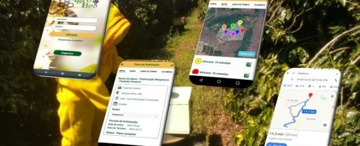 Beekeeper-farmer connection app receives capital injection and scales up pollination service