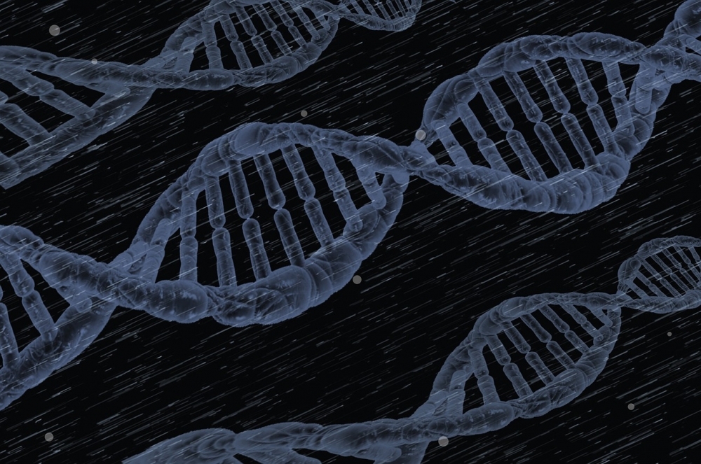 Online platform offers reference gene database for biomolecular research