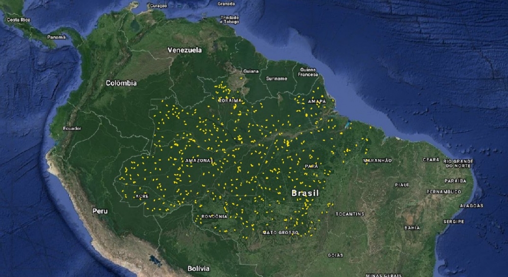 Laser mapeia clareiras na Amazônia e auxilia estudos sobre mortalidade das árvores 
