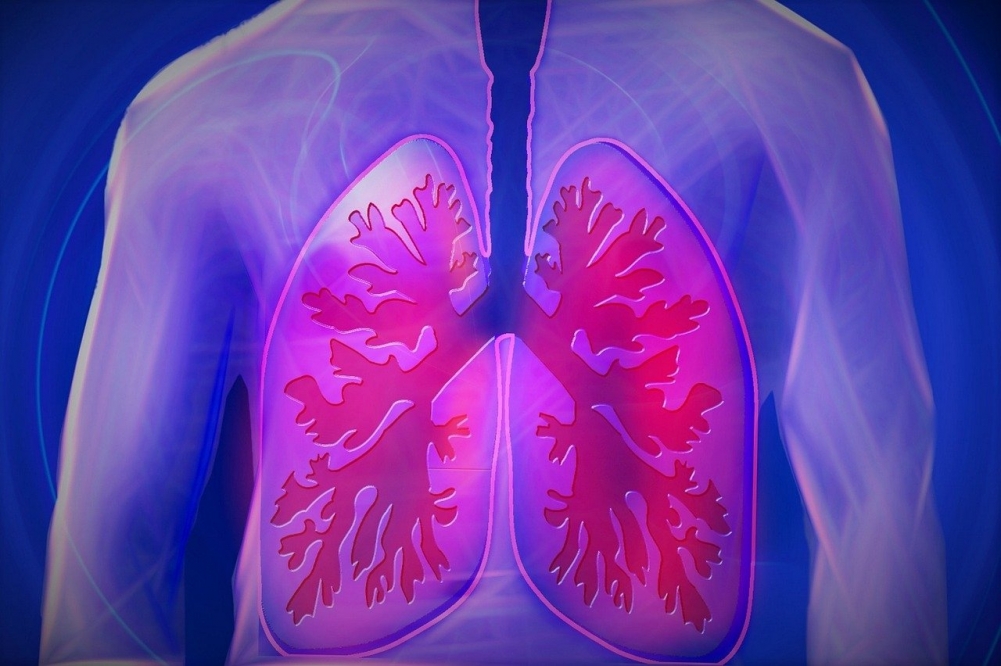 Atlas do pulmão ajuda a entender efeitos do novo coronavírus nos alvéolos 