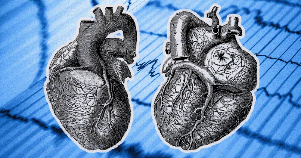 Estudo revela novo alvo terapêutico para insuficiência cardíaca