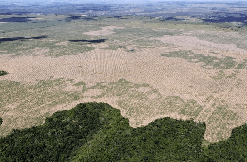 Increase in deforestation of the Amazon threatens Brazil’s ability to achieve its climate goals