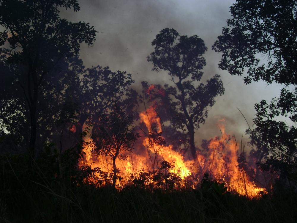 Sem manejo adequado, incêndios em áreas naturais devem se intensificar nos próximos meses, alerta estudo
