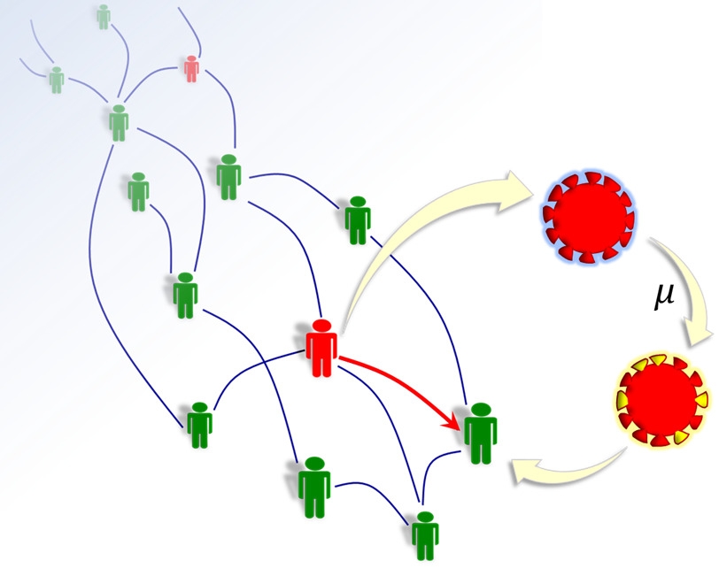 Físicos da Unicamp criam modelo para prever as mutações do SARS-CoV-2