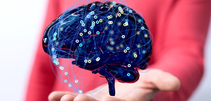 Instituto Brasileiro de Neurociência e Neurotecnologia recebe financiamento da Chan Zuckerberg Initiative