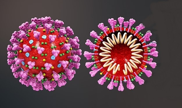 Technique permits genome sequencing of novel coronavirus with 25-fold increase in resolution 