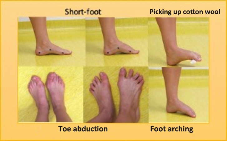 Foot training reduces risk of running-related injury by a factor of two and a half