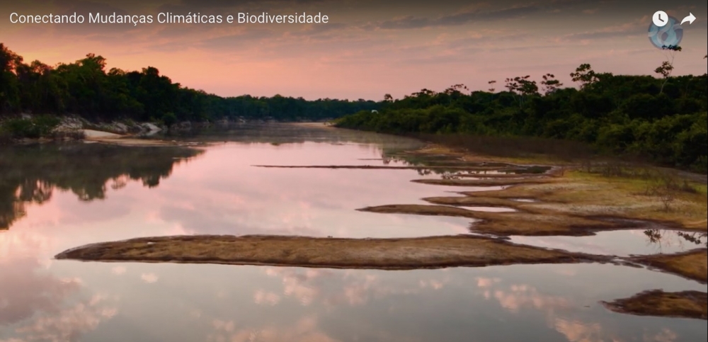 Série de vídeos mostra como a mudança no clima já afeta o Brasil