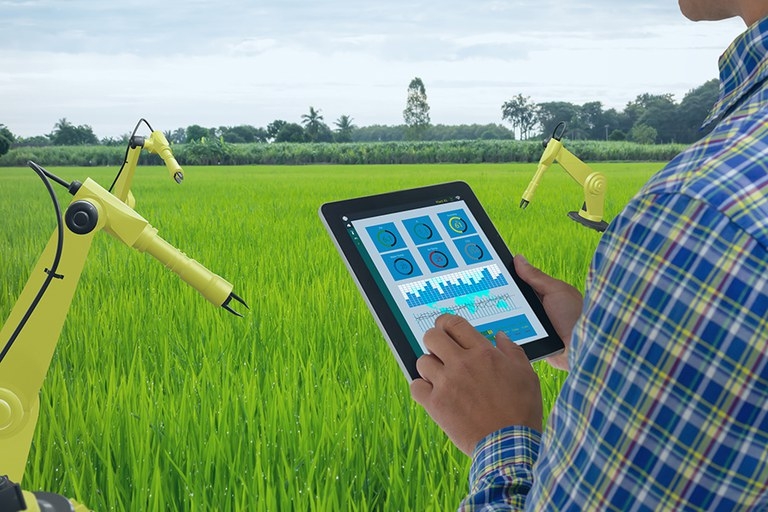Investimento em pesquisa e busca de novas tecnologias estão entre os focos da agricultura digital