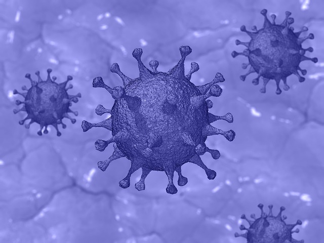 Plataforma Científica Pasteur-USP desenvolve novos testes para a detecção de anticorpos da COVID-19