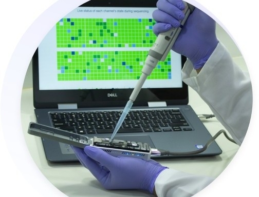 First database of multidrug-resistant bacterial genomes created in Brazil 