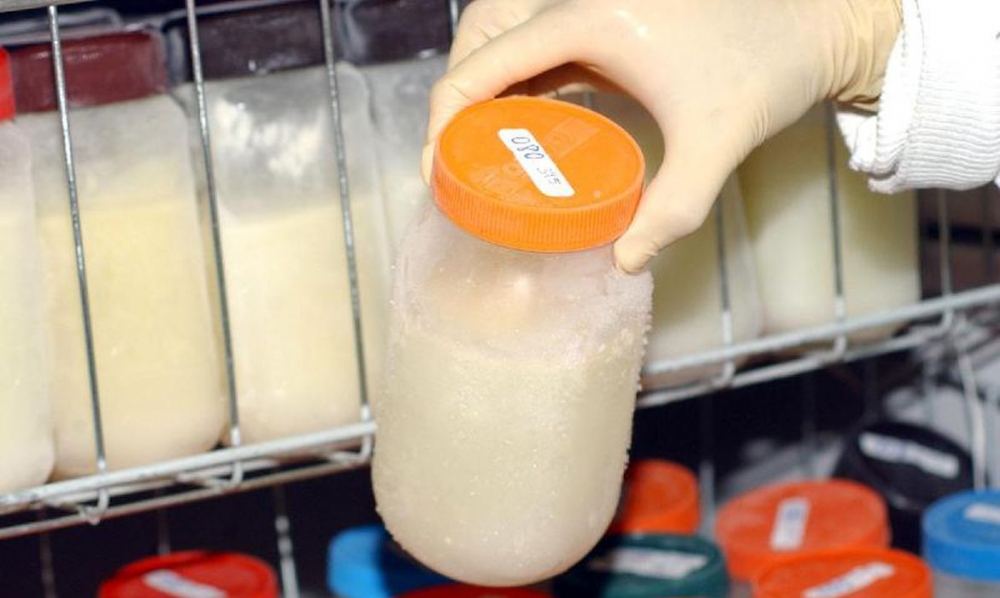 Cientistas usam leite materno para tratar COVID-19 prolongada em paciente com imunodeficiência grave