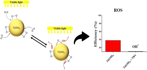 Nanopartícula ativada por luz visível mostra potencial para combater tumores de bexiga