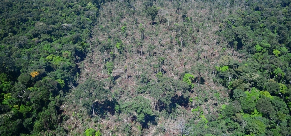 Degradation of remaining Amazon forest could emit as much carbon as deforestation, if not more