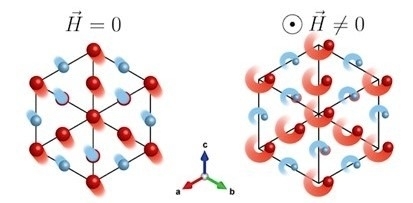 Study shows for the first time that phonons can be manipulated by means of a magnetic field