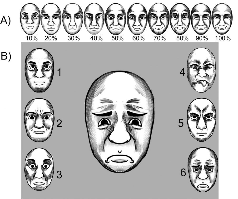 Experimento mostra como diferentes odores podem influenciar a percepção visual de emoções