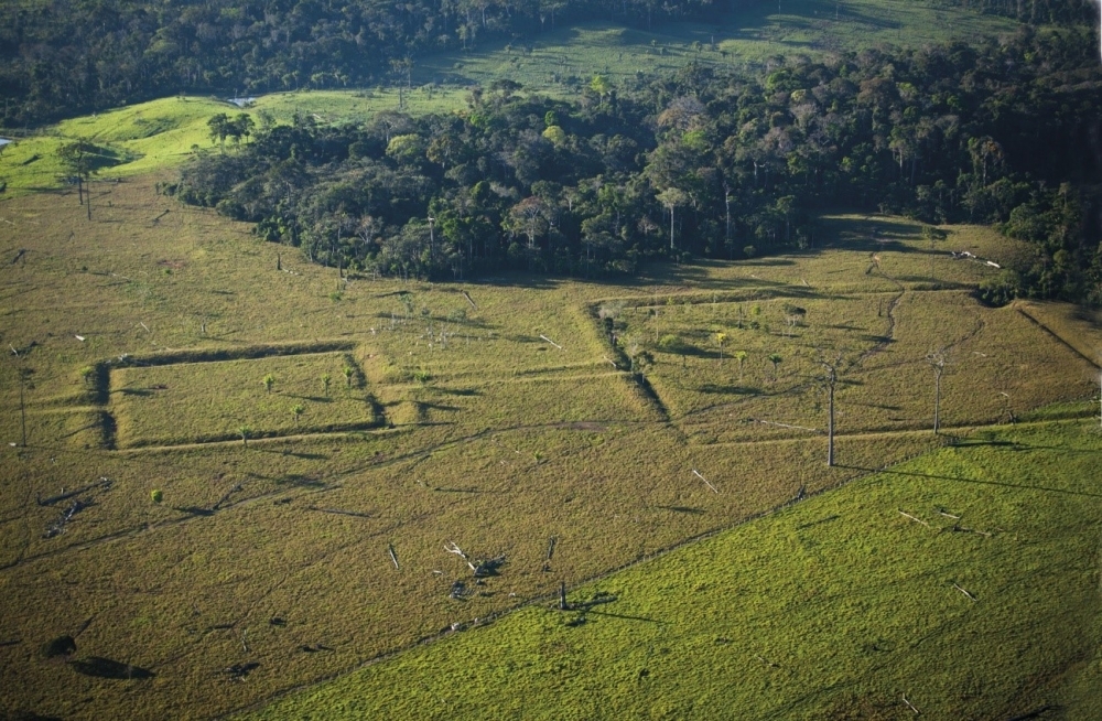Amazonia was densely populated in the past and human action has shaped the present-day forest 
