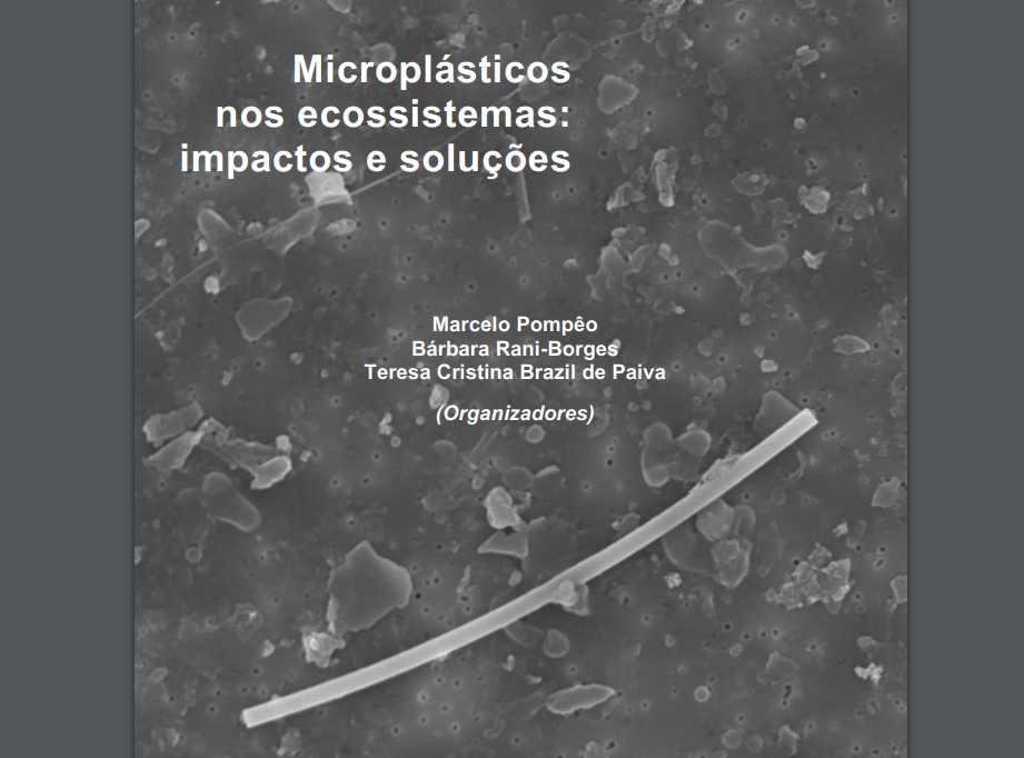 Microplásticos nos ecossistemas: impactos e soluções