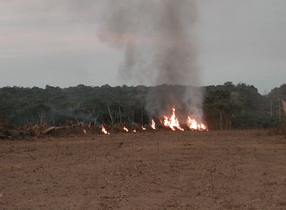 Fire in the Amazon is associated more with agricultural burning and deforestation than with drought