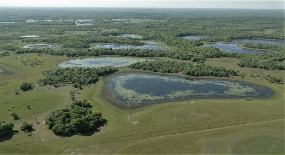 Climate crisis and anthropic pressure are destabilizing the Pantanal 