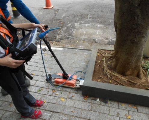 Startup uses ground-penetrating radar to map urban tree trunks and roots 