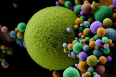 Reitoria da UFSCar recebe exposição de nanoarte