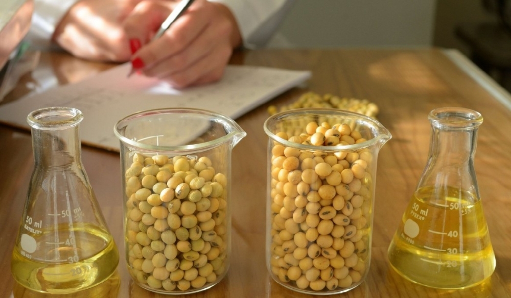 Technology to select soybean varieties with higher-quality seeds 