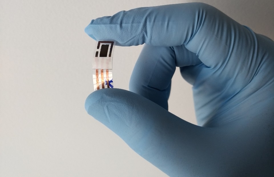 Researchers at the University of São Paulo create a low-cost sensor that detects heavy metals in sweat 