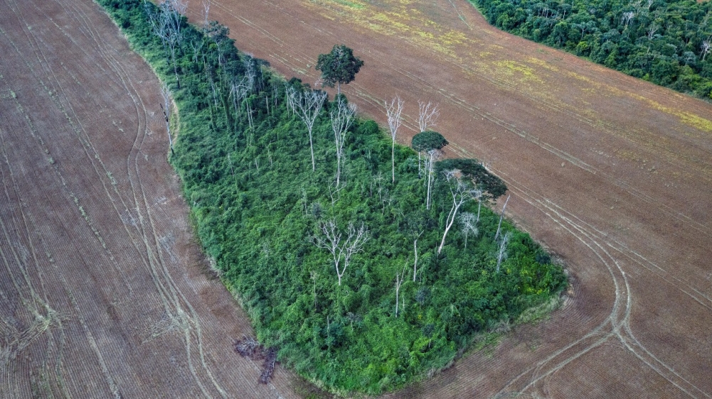 Degradação provocada por humanos afeta 38% da Amazônia, aponta estudo