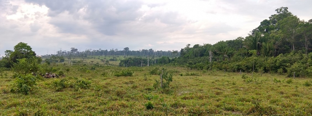 Proper soil management could make Amazon pasturelands a better methane sink