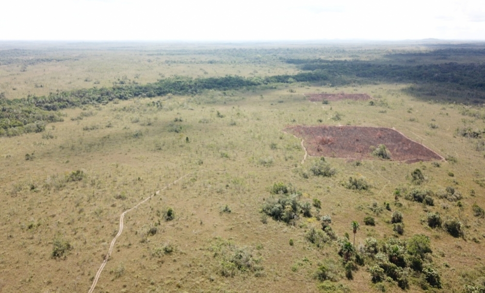 Scientists combine remote sensing and field experiments to study the effects of fire on Amazon savanna
