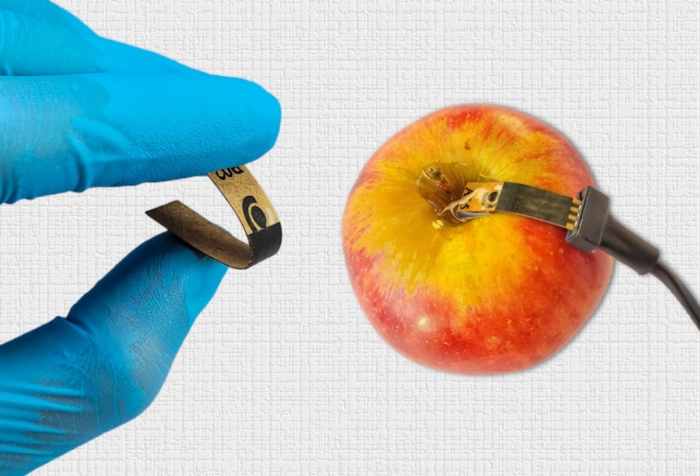 Sensor de papel detecta agrotóxico em alimentos de modo rápido e barato
