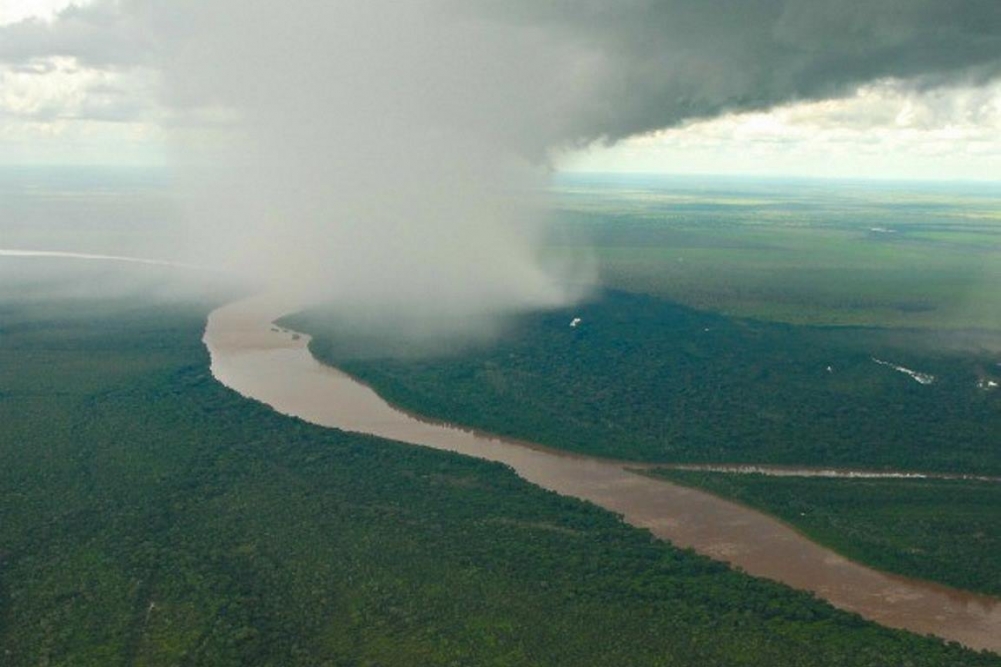 Brazilian algorithm aims to project future of Amazon Rainforest and predict changes in carbon capture